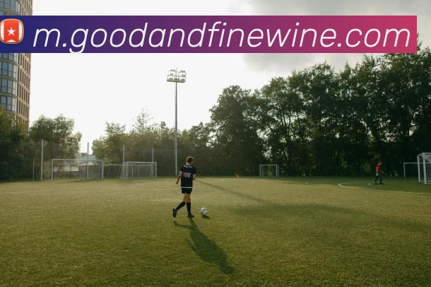 安博体育平台生态图